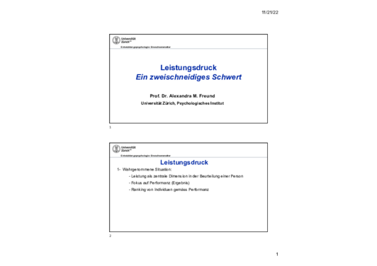 freund_leistungsdruck_11_2022.pdf